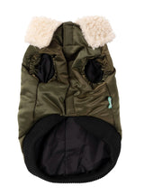 The Letterman Jacket For Dogs In Olive Green
