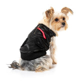 yorkie terrier wearing The Letterman Jacket For Dogs In black