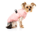 cute yorki wearing the eastcoast harness jacket for dogs