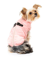 cute yorki wearing the eastcoast harness jacket for dogs