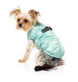 small dog wearing the eastcoast harness jacket in mint green