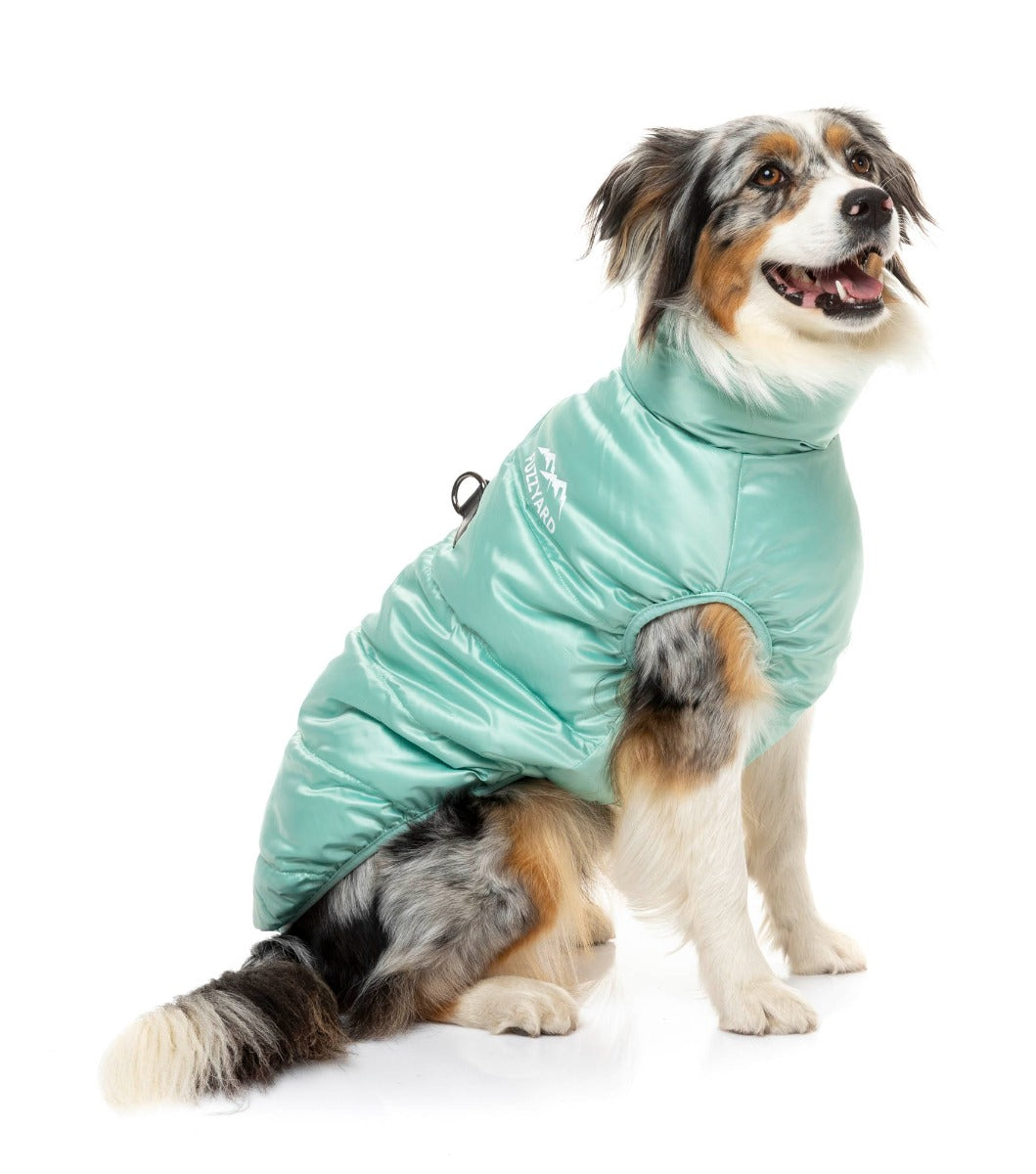 small dog wearing the eastcoast harness jacket in mint green
