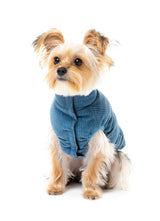small dog wearing the Mosman puffer Jacket In washed blue