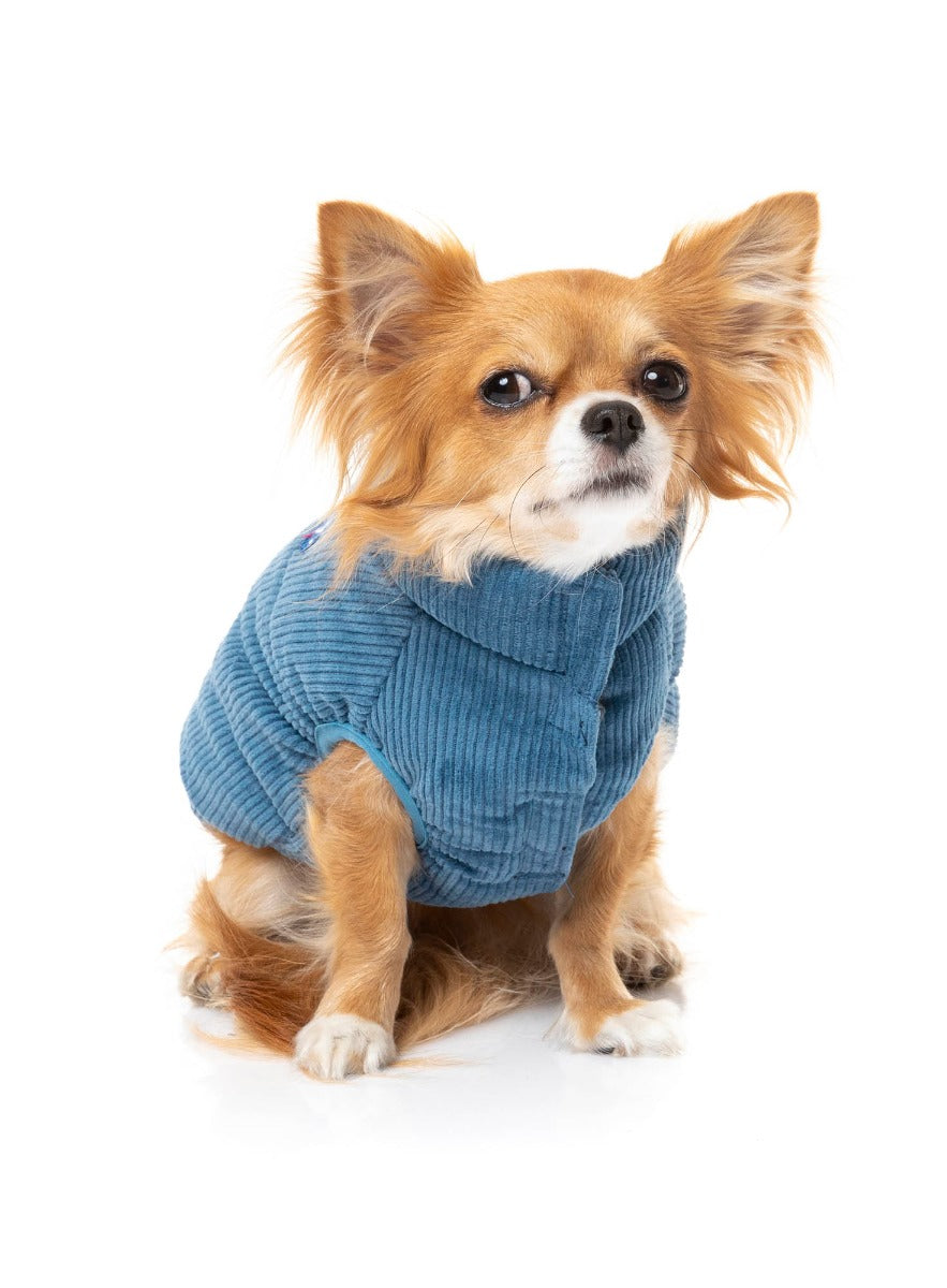 small dog wearing the Mosman puffer Jacket In washed blue
