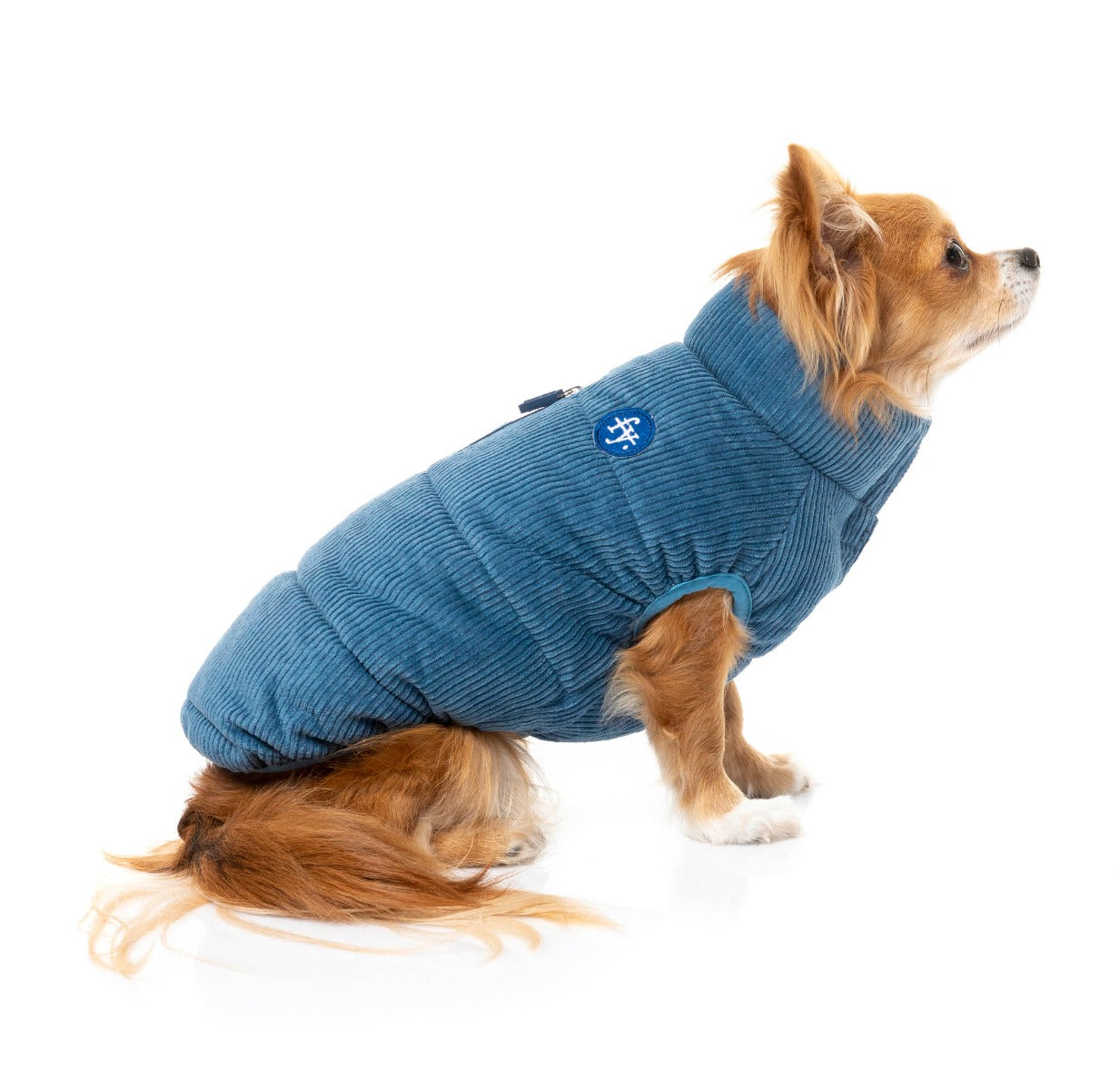 small dog wearing the Mosman puffer Jacket In washed blue