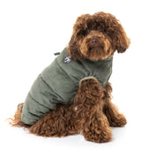 cavoodle wearing the Mosman Puffer Jacket In Khaki for dogs by FuzzYard