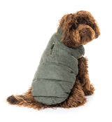 cavoodle wearing the Mosman Puffer Jacket In Khaki for dogs by FuzzYard