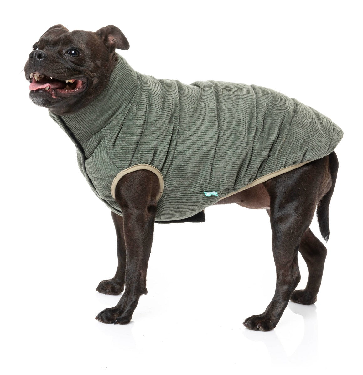 staffy wearing the Mosman Puffer Jacket In Khaki for dogs by FuzzYard