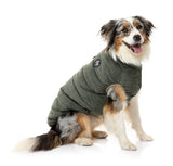shibu wearing the Mosman Puffer Jacket In Khaki for dogs by FuzzYard