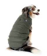 shibu wearing the Mosman Puffer Jacket In Khaki for dogs by FuzzYard