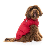 small dog wearing Mosman Puffer Jacket In Red - FuzzYard