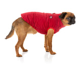 small dog wearing Mosman Puffer Jacket In Red - FuzzYard