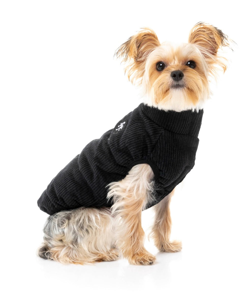 yorki in Mosman Puffer Jacket In Black for dogs - FuzzYard