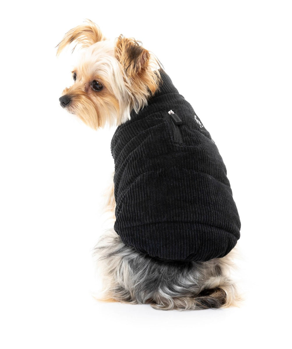 yorki in Mosman Puffer Jacket In Black for dogs - FuzzYard