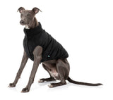whippet in Mosman Puffer Jacket In Black for dogs - FuzzYard