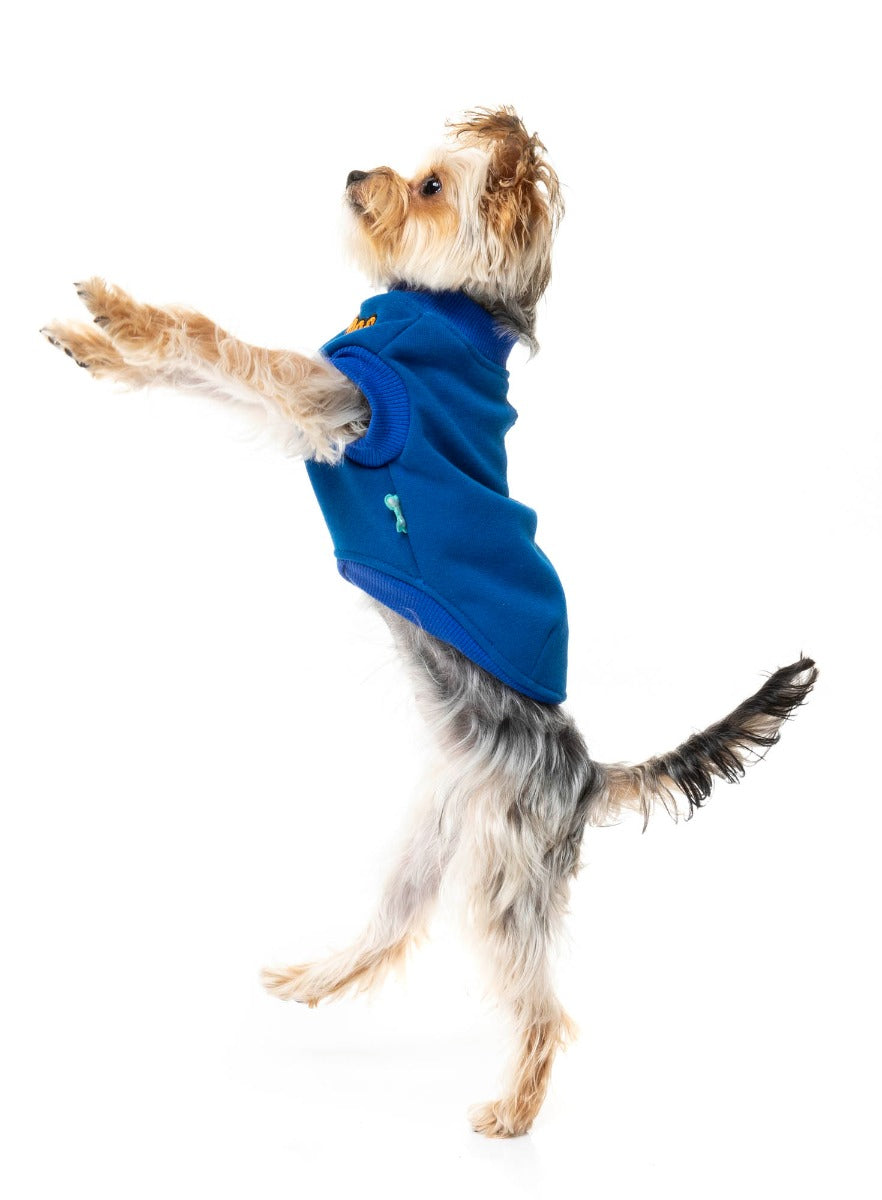 small dog wearing The Woof Sweater in Blue by FuzzYard