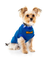 small dog wearing The Woof Sweater in Blue by FuzzYard