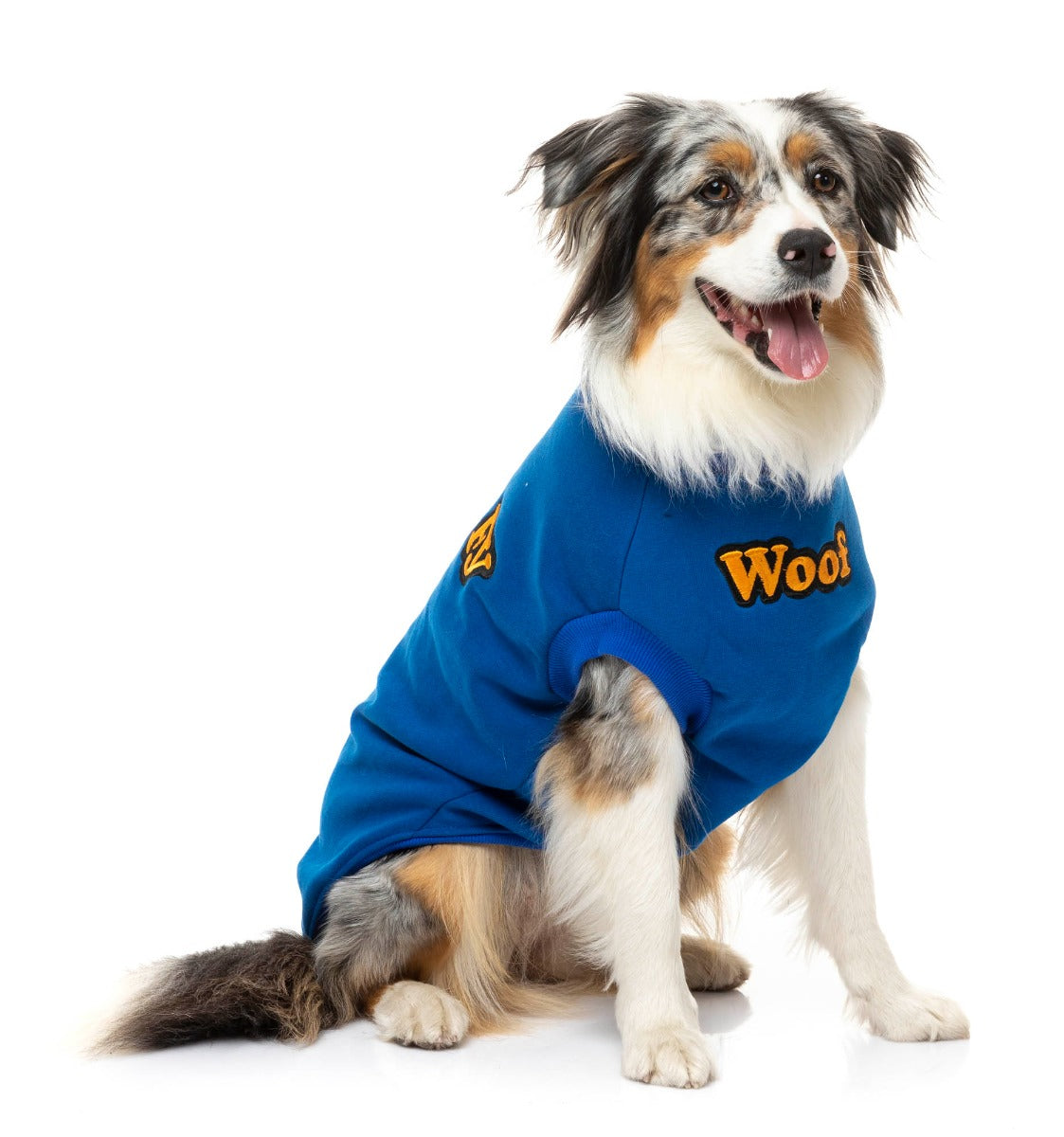 medium dog wearing The Woof Sweater in Blue by FuzzYard