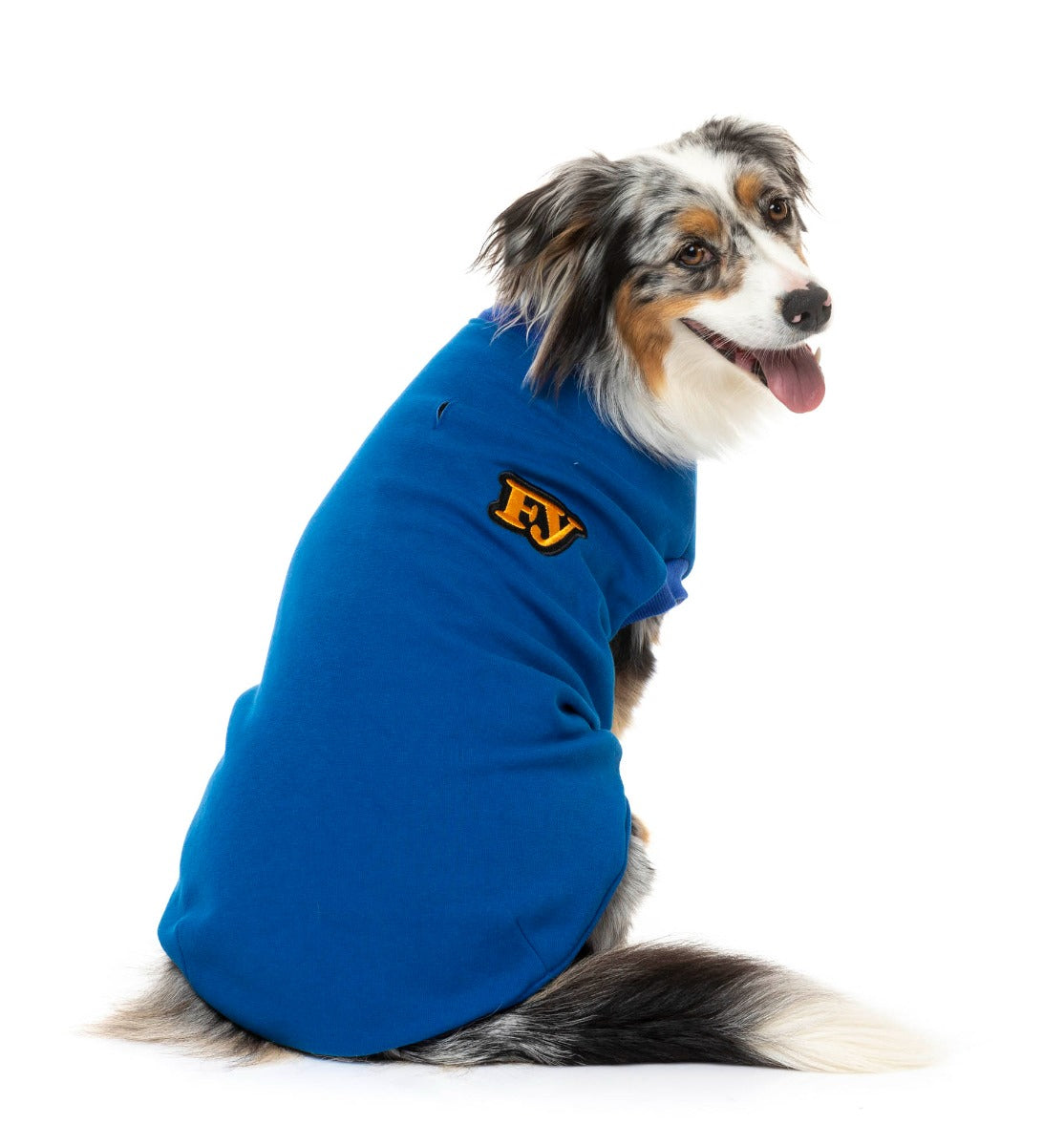 medium dog wearing The Woof Sweater in Blue by FuzzYard