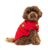 small dog wearing The Woof Sweater in red by FuzzYard