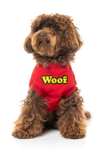 small dog wearing The Woof Sweater in red by FuzzYard