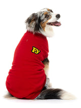 large dog wearing The Woof Sweater in red by FuzzYard