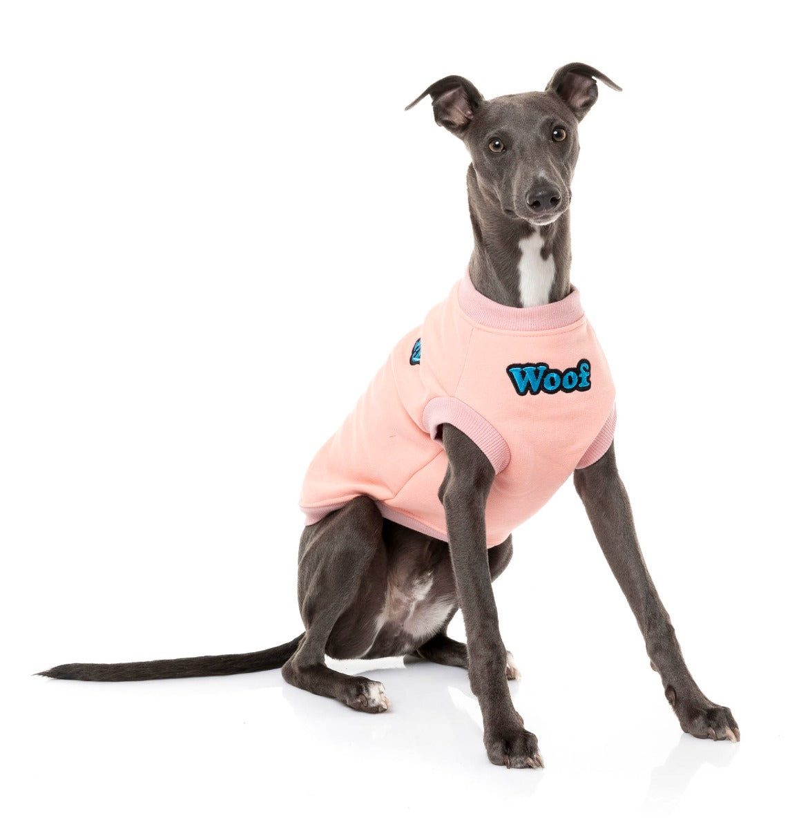 large dog wearing The Woof Sweater in pink by FuzzYard