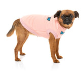 small dog wearing The Woof Sweater in pink by FuzzYard