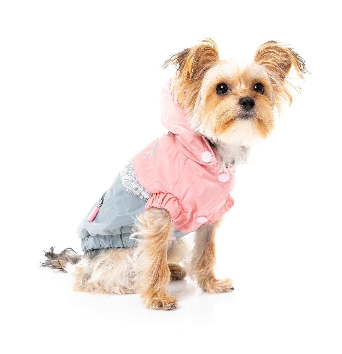 large dog wearing The Seattle Jacket in pink and grey by FuzzYard.