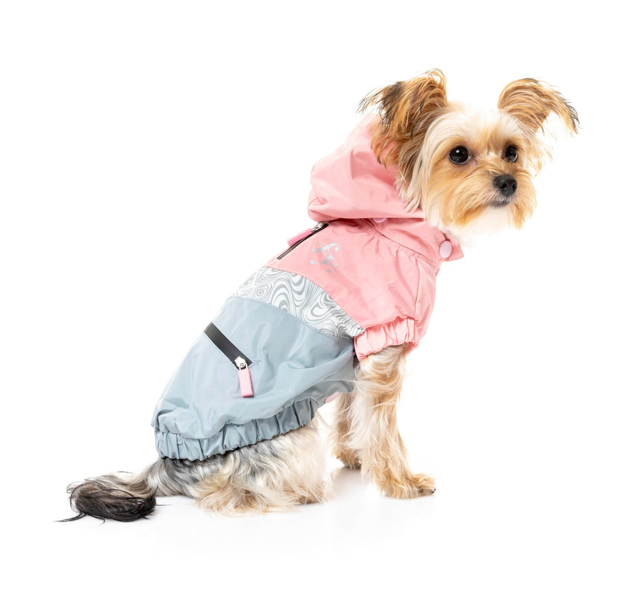 large dog wearing The Seattle Jacket in pink and grey by FuzzYard.