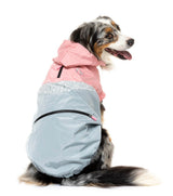 large dog wearing The Seattle Jacket in pink and grey by FuzzYard.