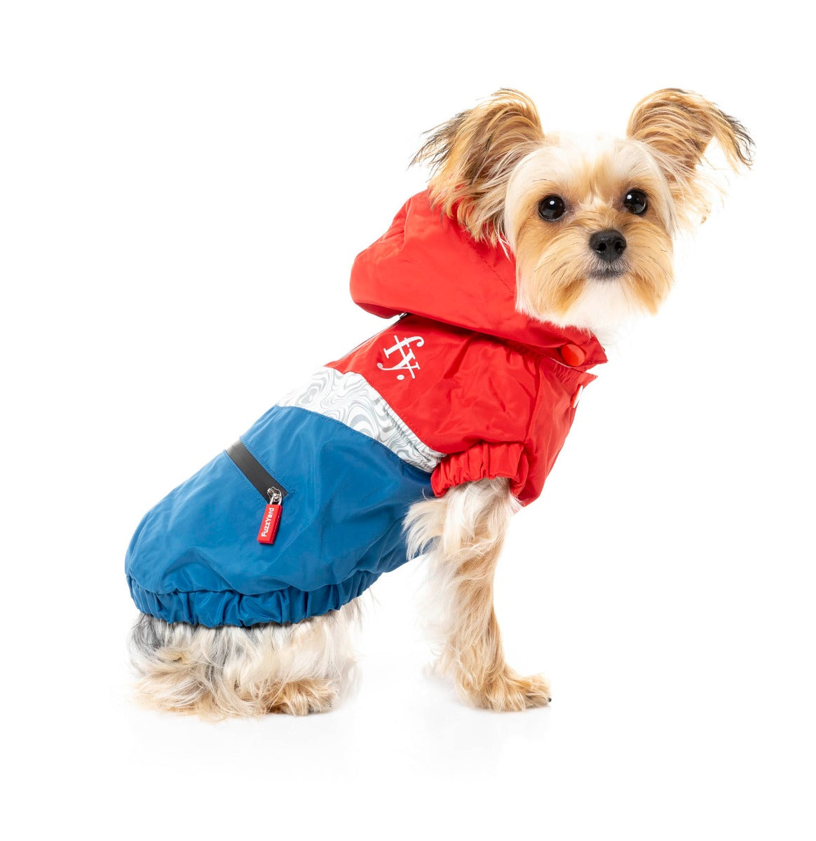 tiny dog wearing The Seattle Jacket in red and blue by FuzzYard.