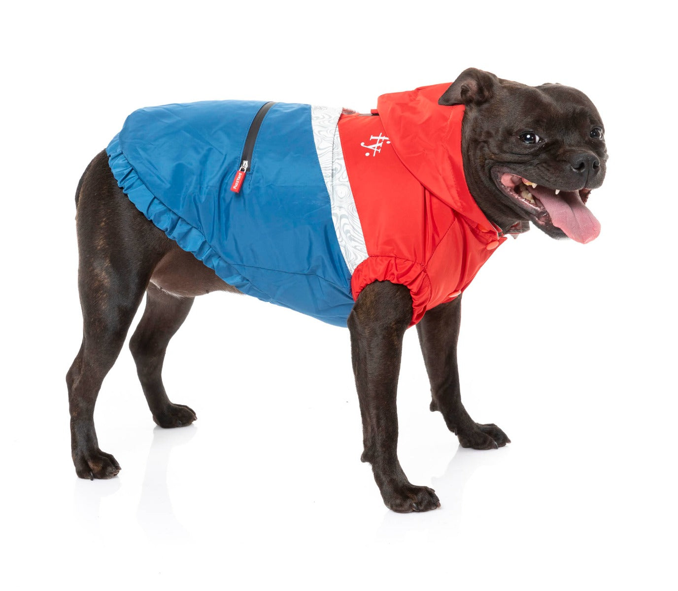 large dog wearing The Seattle Jacket in red and blue by FuzzYard.