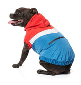 large dog wearing The Seattle Jacket in red and blue by FuzzYard.