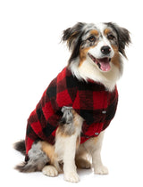 cute dog wearing The Lumberjack Jacket in Black & Red by FuzzYard