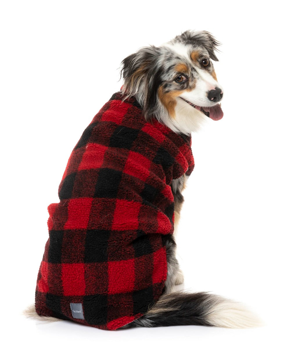 cute dog wearing The Lumberjack Jacket in Black & Red by FuzzYard