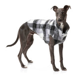 cute dog wearing The Lumberjack Jacket in Black & White by FuzzYard
