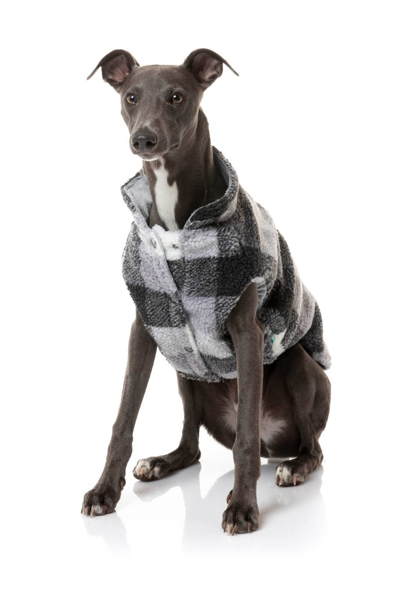 cute dog wearing The Lumberjack Jacket in Black & White by FuzzYard