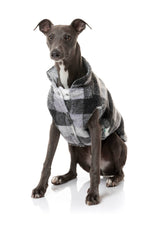 cute dog wearing The Lumberjack Jacket in Black & White by FuzzYard