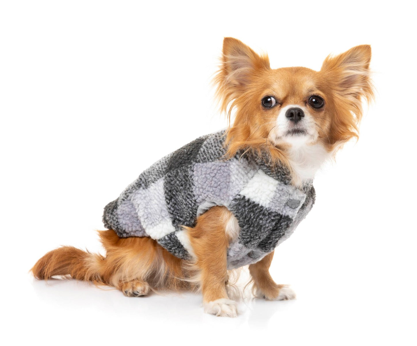 cute dog wearing The Lumberjack Jacket in Black & White by FuzzYard
