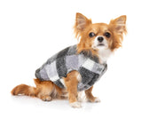 cute dog wearing The Lumberjack Jacket in Black & White by FuzzYard