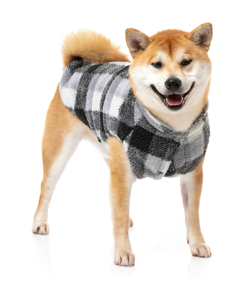 cute dog wearing The Lumberjack Jacket in Black & White by FuzzYard