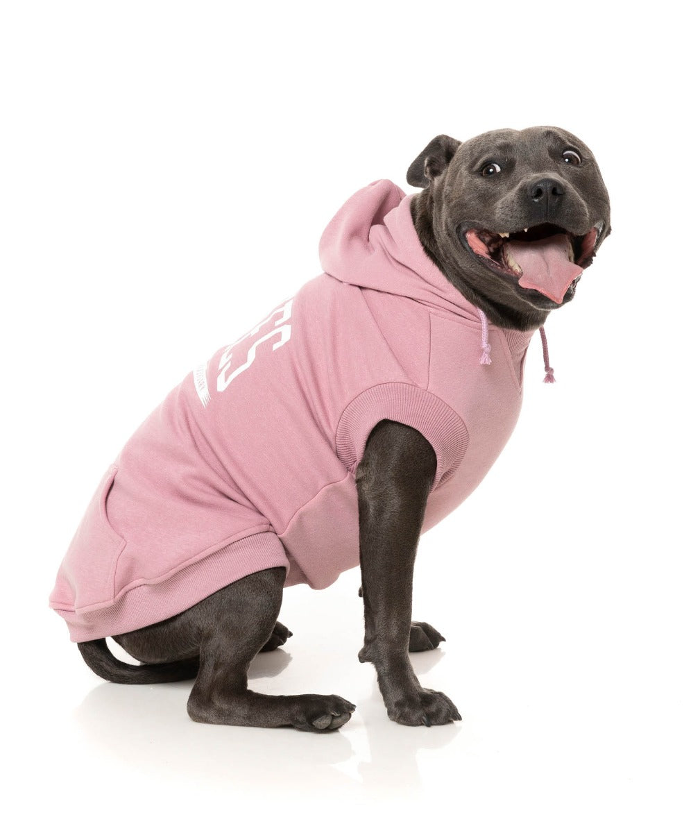 Zoomies Hoodie - Pink by Fuzzyard