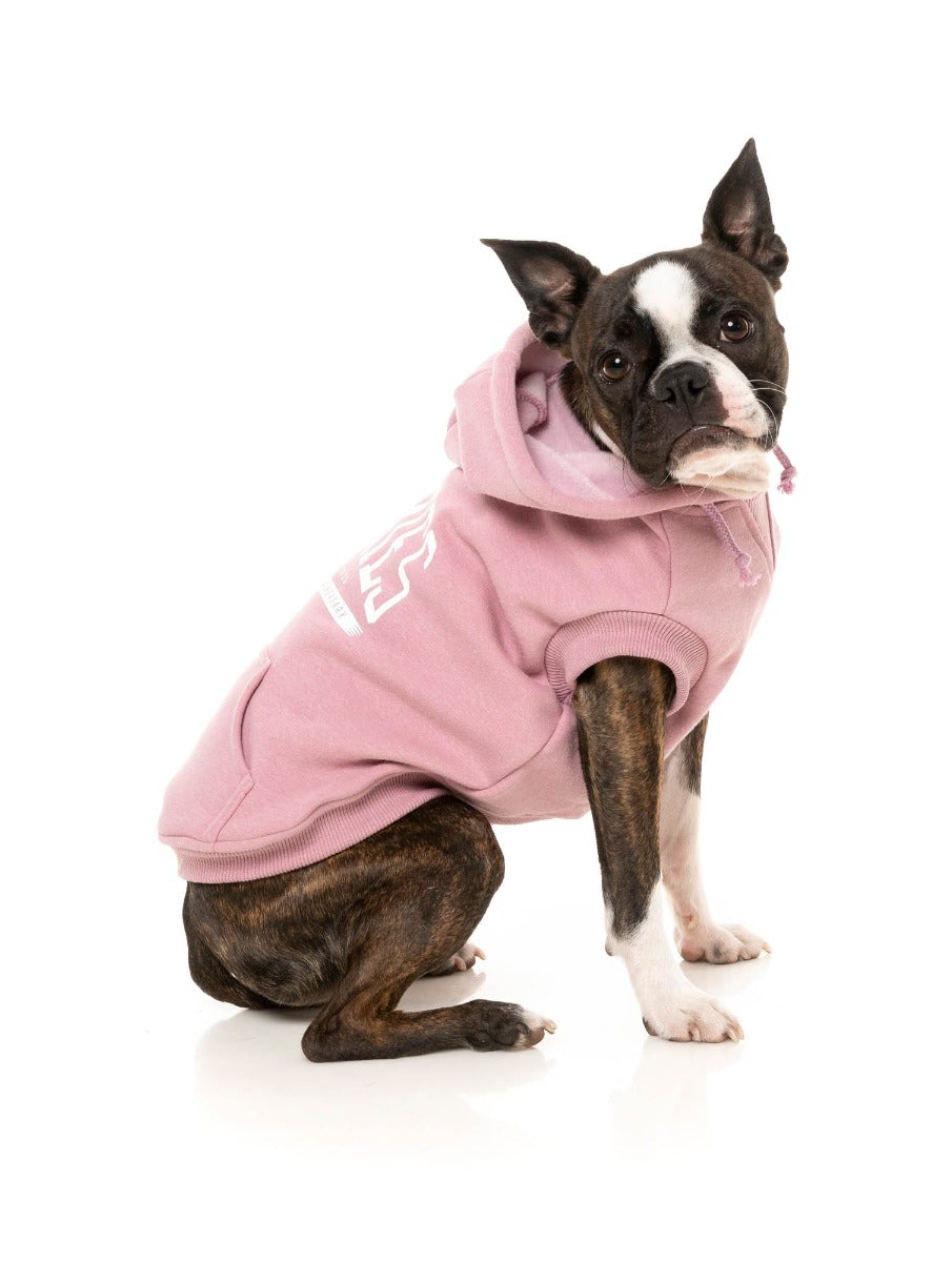 Zoomies Hoodie - Pink by Fuzzyard