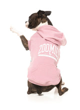Zoomies Hoodie - Pink by Fuzzyard