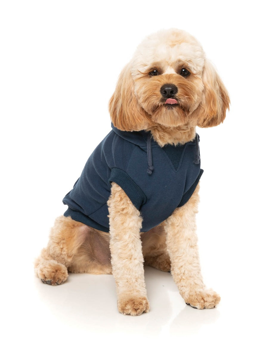 Zoomies Hoodie - Navy by Fuzzyard