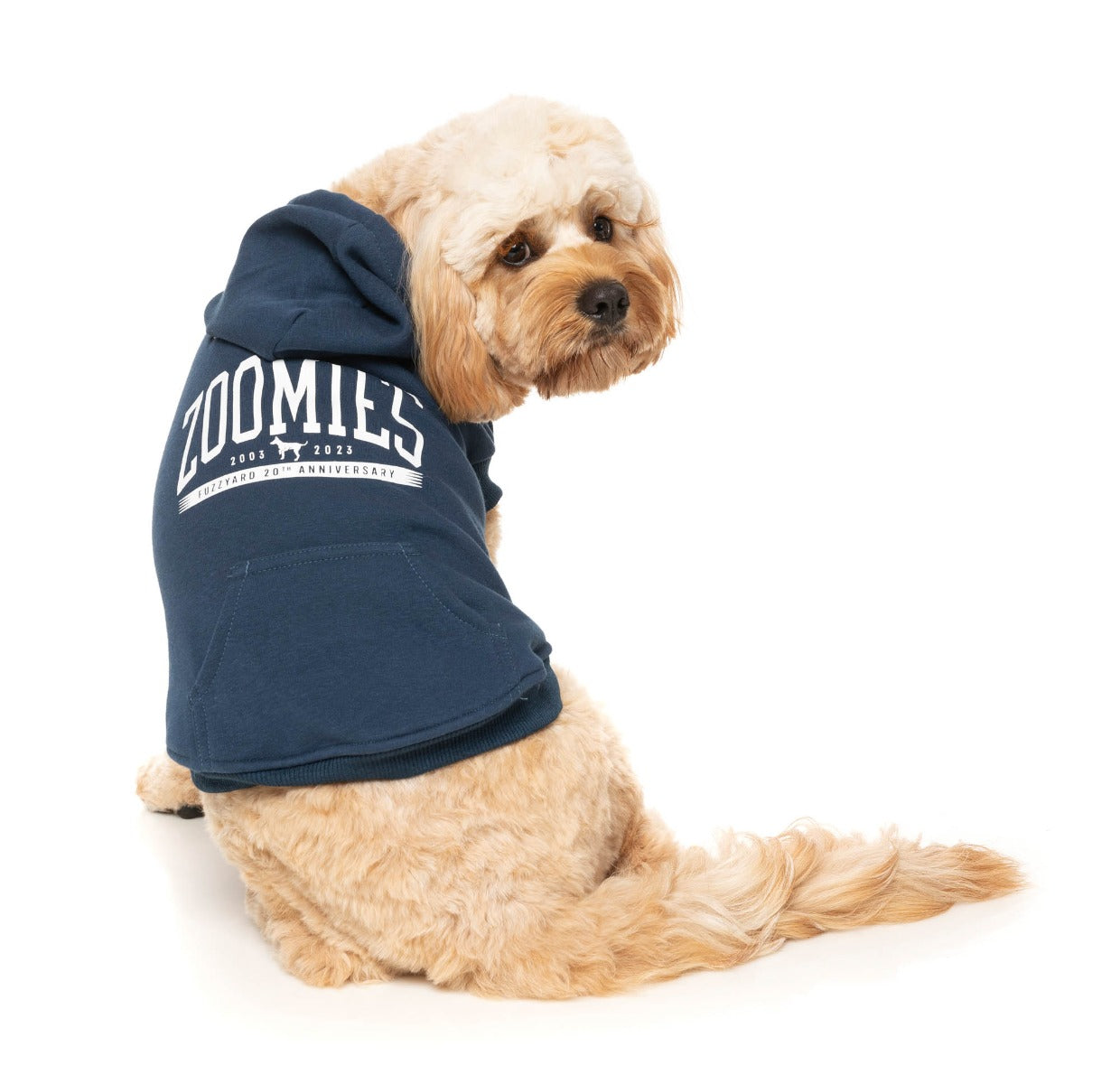 Zoomies Hoodie - Navy by Fuzzyard