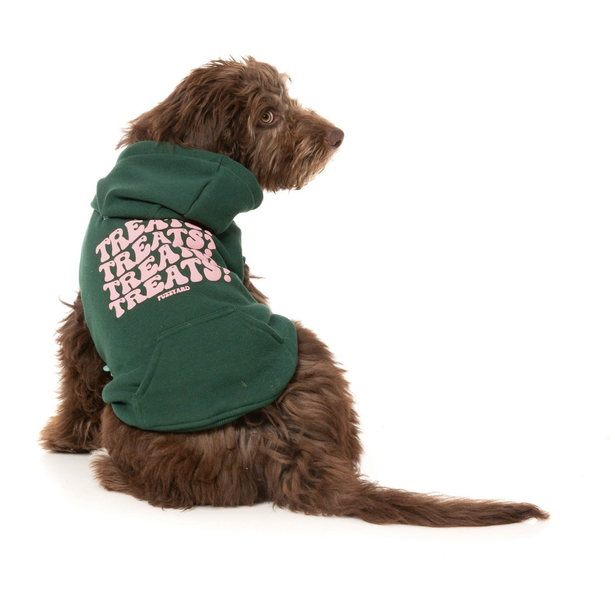 Treats Hoodie - Green by Fuzzyard