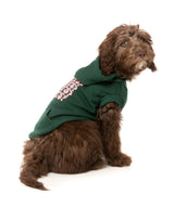 Treats Hoodie - Green by Fuzzyard
