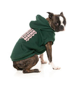 Treats Hoodie - Green by Fuzzyard